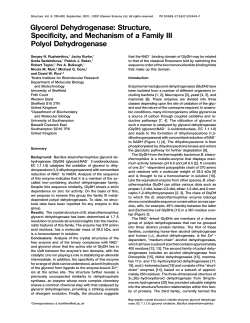 Glycerol Dehydrogenase: Structure, Specificity