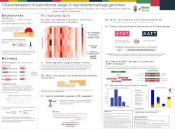 Characterization of palindrome usage in - SEA