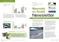 Mammals on Roads - People`s Trust for Endangered Species