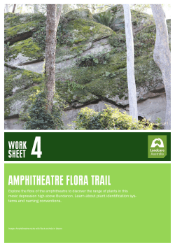 AMPHITHEATRE FLORA TRAIL