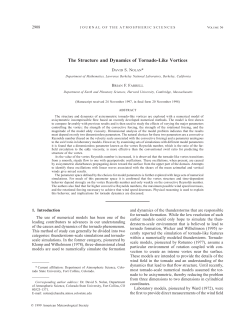 The Structure and Dynamics of Tornado-Like Vortices