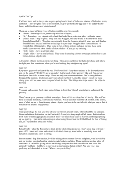 April`s Top Tips
