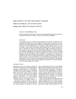 the effect of the electron-opaque pore material on