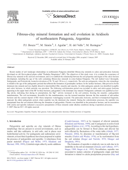 Fibrous-clay mineral formation and soil evolution in Aridisols of