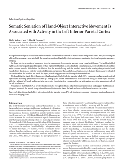 Somatic Sensation of Hand-Object Interactive Movement Is