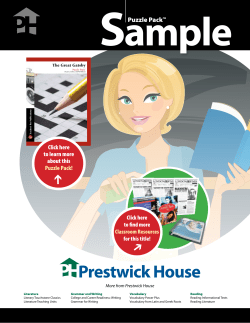 The Great Gatsby - Puzzle Pack - Sampler PDF