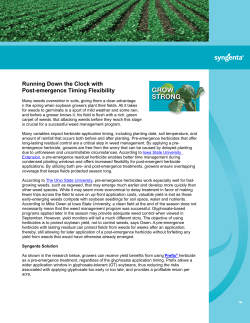 Running Down the Clock with Post-emergence Timing