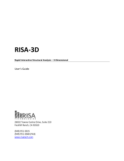 RISA-3D User`s Guide