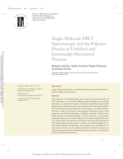Single-Molecule FRET Spectroscopy and the Polymer Physics of