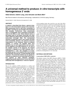 A universal method to produce in vitro transcripts