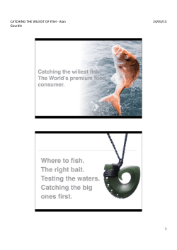 Alan`s presentation: Catching the Wiliest of Fish