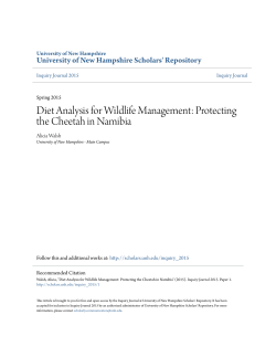 Diet Analysis for Wildlife Management: Protecting the Cheetah in