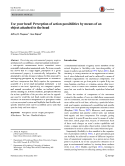 Use your head! Perception of action possibilities by means of an