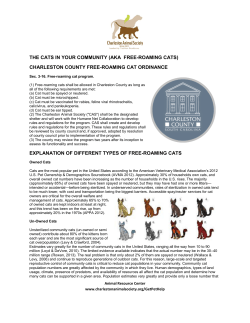 aka free-roaming cats - Charleston Animal Society
