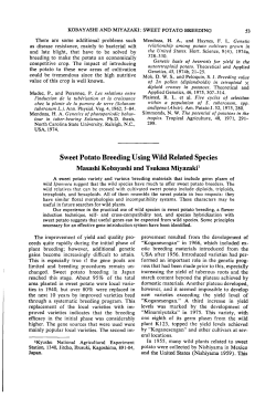 Sweet Potato Breeding Using Wild Related Species