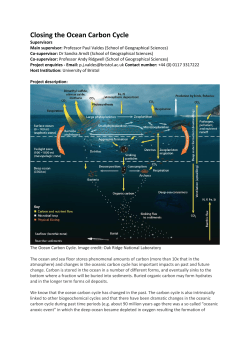 Closing the Ocean Carbon Cycle