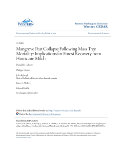 Mangrove Peat Collapse Following Mass Tree
