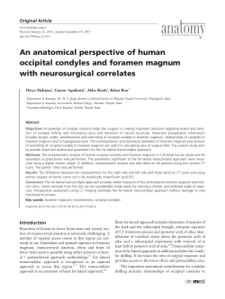 An anatomical perspective of human occipital condyles and foramen