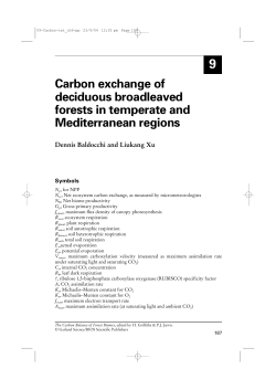 Carbon exchange of deciduous broadleaved forests in temperate