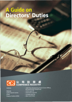 A Guide on Directors` Duties