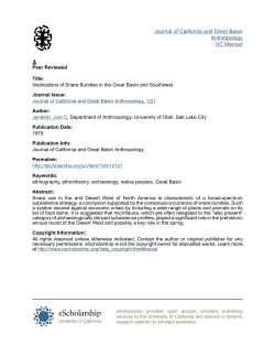 Implications of Snare Bundles in the Great Basin and