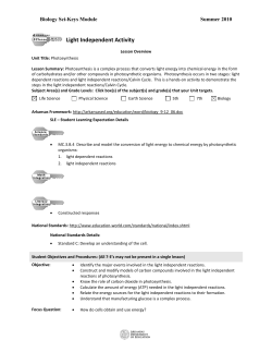 Light Independent Reaction Lesson Guide