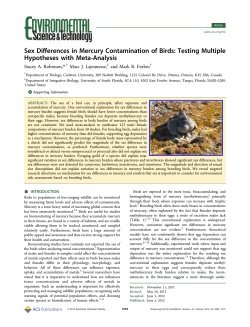 Sex Differences in Mercury Contamination of Birds: Testing Multiple