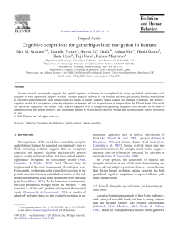 Cognitive adaptations for gathering