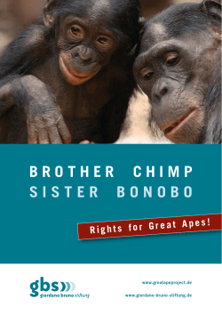Rights for Great Apes! - Giordano Bruno Stiftung