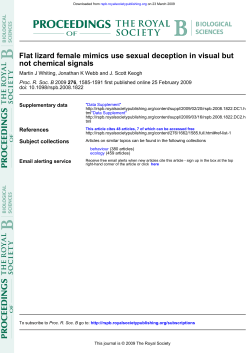 not chemical signals Flat lizard female mimics use sexual deception