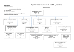 DEFA Senior Officer Structure and grades