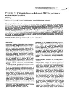 Potential for anaerobic bioremediation of BTEX in petroleum