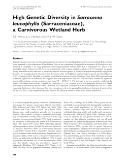 High Genetic Diversity in Sarracenia leucophylla