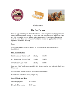 Mathematics The Egg Farmer