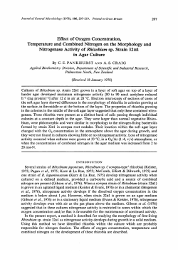 Effect of Oxygen Concentration, Temperature and