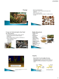 Fungi