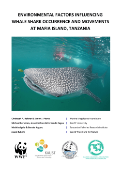 environmental factors influencing whale shark occurrence