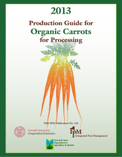 Organic Carrots - North Carolina Cooperative Extension