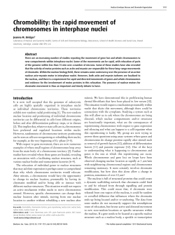 Chromobility: the rapid movement of chromosomes in interphase