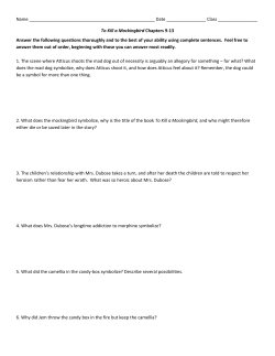 To Kill a Mockingbird Chap