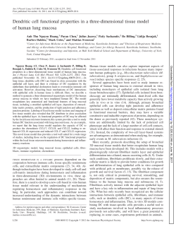 Dendritic cell functional properties in a three - AJP-Lung