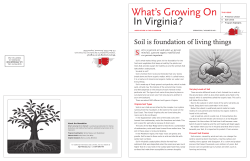 Soil - Agriculture in the Classroom