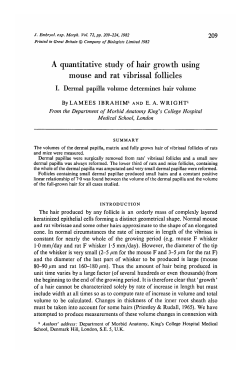 A quantitative study of hair growth using mouse and