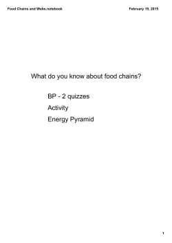 Food Chains and Webs.notebook