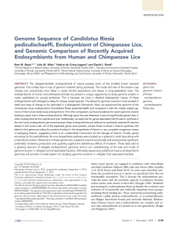 Genome Sequence of Candidatus Riesia pediculischaeffi