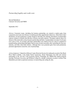 Partnership fragility and credit costs