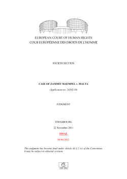 Application no. 24202/10