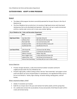 outdoor rinks: adopt-a-rink program