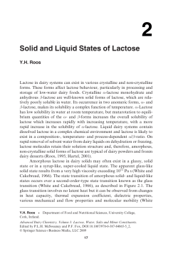 Solid and Liquid States of Lactose