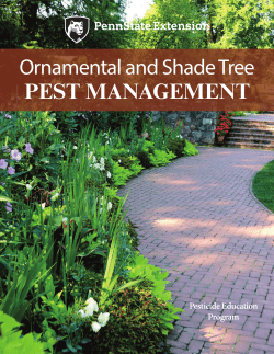 Ornamental and Shade Tree PEST MANAGEMENT